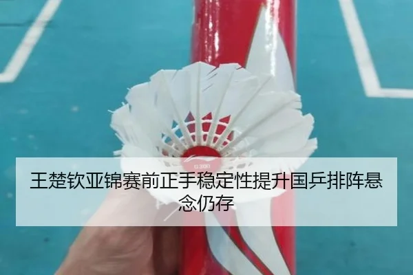 王楚钦亚锦赛前正手稳定性提升国乒排阵悬念仍存